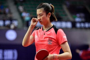 开云- 瑞士队预选赛成绩 